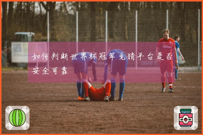如何判断世界杯冠军竞猜平台是否安全可靠