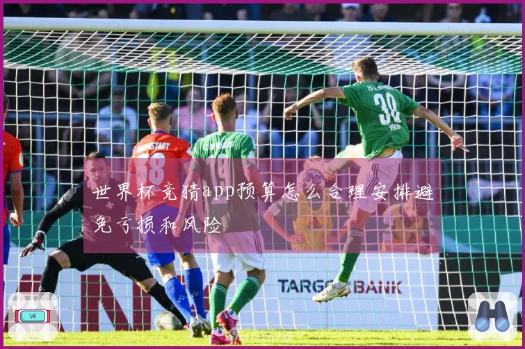 世界杯竞猜app预算怎么合理安排避免亏损和风险 体育资讯配图