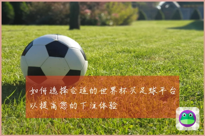 如何选择合适的世界杯买足球平台以提高您的下注体验