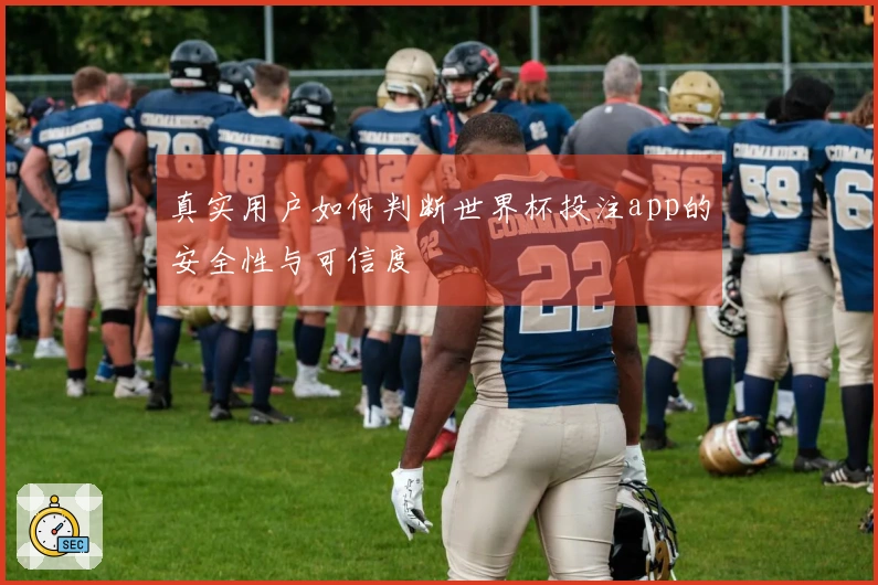 真实用户如何判断世界杯投注app的安全性与可信度