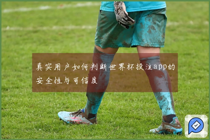 真实用户如何判断世界杯投注app的安全性与可信度