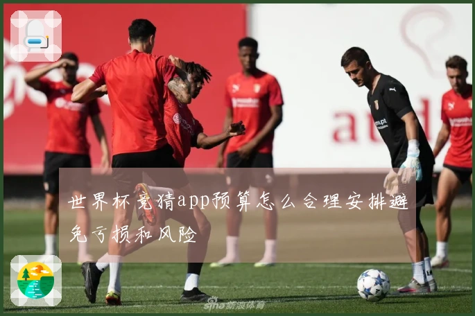 世界杯竞猜app预算怎么合理安排避免亏损和风险