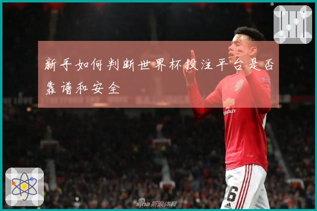 新手如何判断世界杯投注平台是否靠谱和安全 体育资讯配图