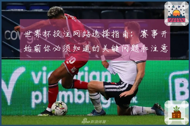 世界杯投注网站选择指南：赛事开始前你必须知道的关键问题和注意事项