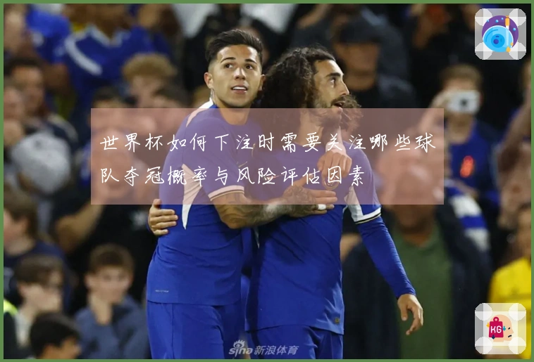 世界杯如何下注时需要关注哪些球队夺冠概率与风险评估因素