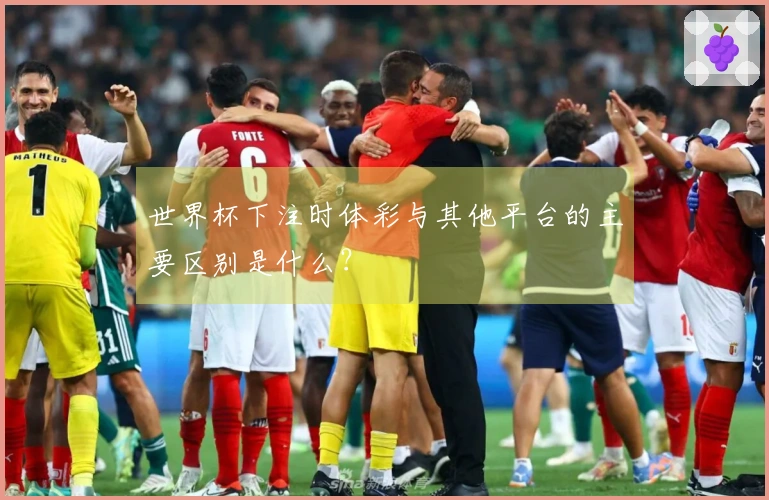 世界杯下注时体彩与其他平台的主要区别是什么？