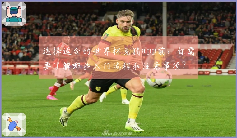 选择适合的世界杯竞猜app前，你需要了解哪些入门流程和注意事项？
