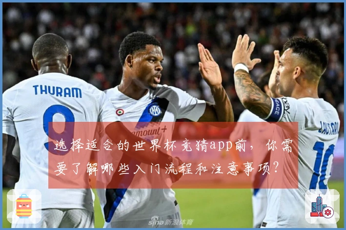 选择适合的世界杯竞猜app前，你需要了解哪些入门流程和注意事项？