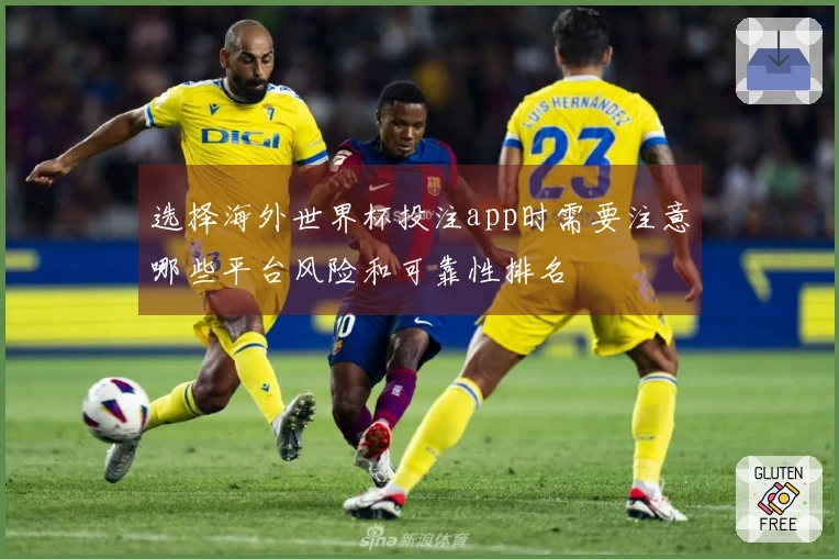 选择海外世界杯投注app时需要注意哪些平台风险和可靠性排名