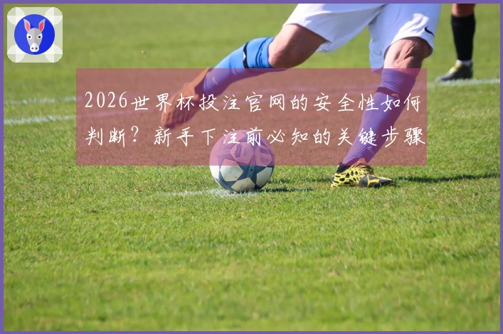 2026世界杯投注官网的安全性如何判断？新手下注前必知的关键步骤和注意事项
