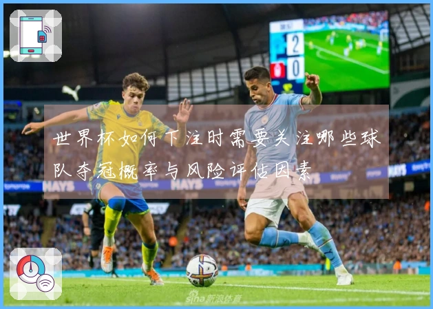 世界杯如何下注时需要关注哪些球队夺冠概率与风险评估因素